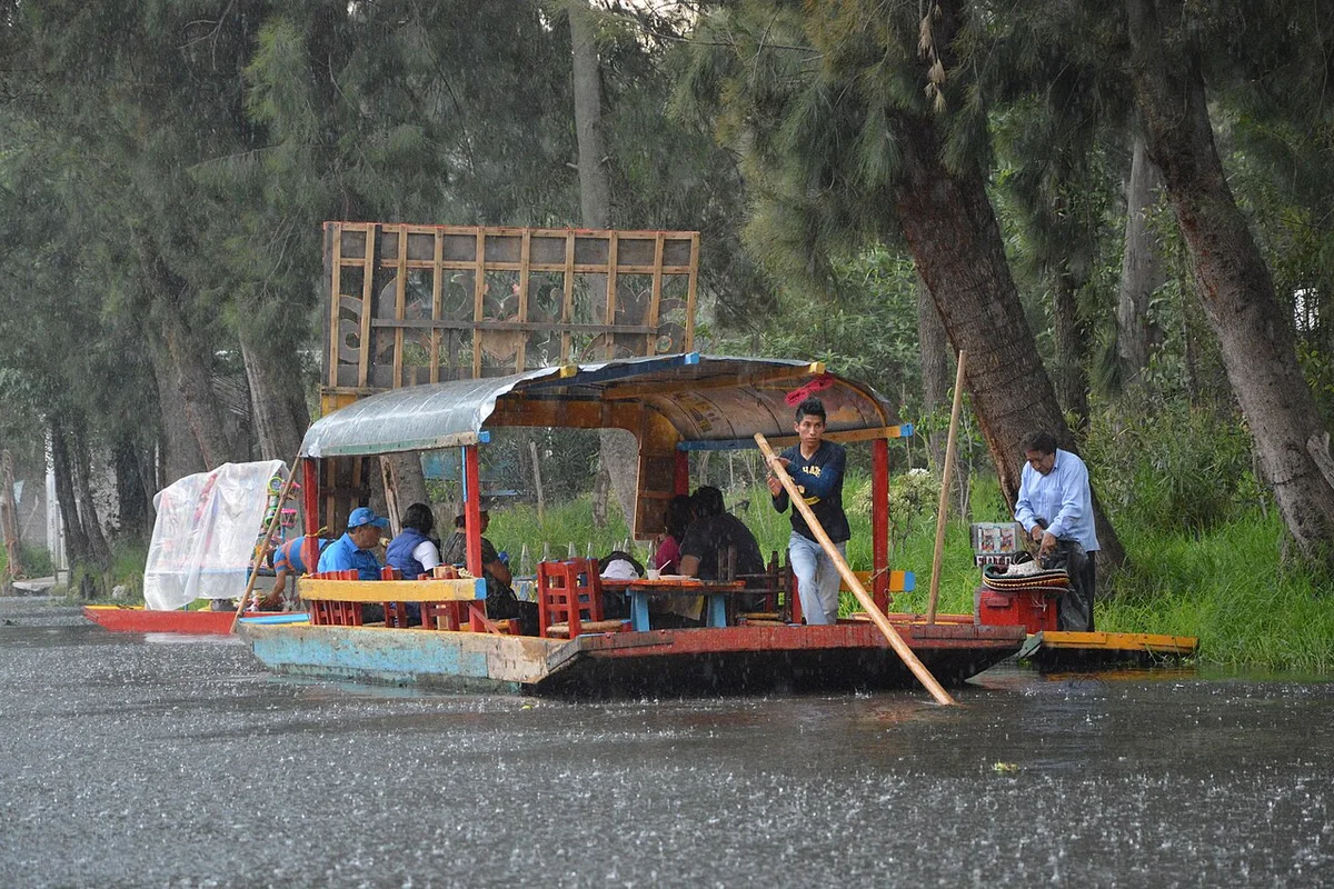 Private Mexico City Cultural Tour: Frida Kahlo, Coyoacán & Xochimilco